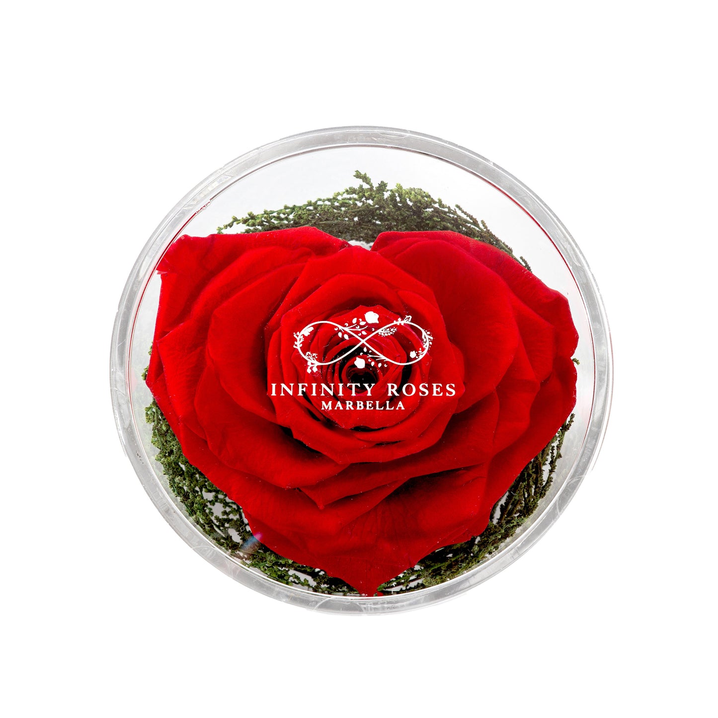 ROSA CORAZÓN