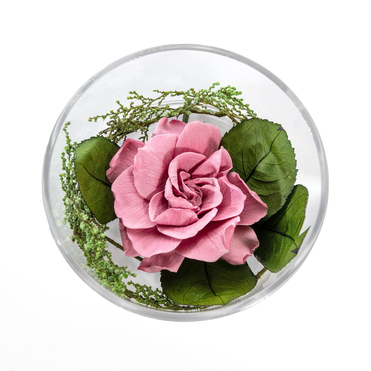 FLOR DE GARDENIA