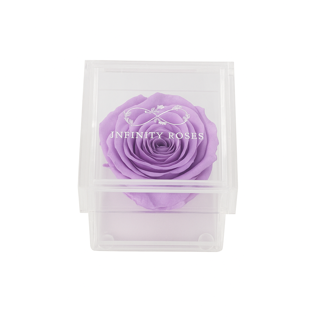 BOX | RED ROSE