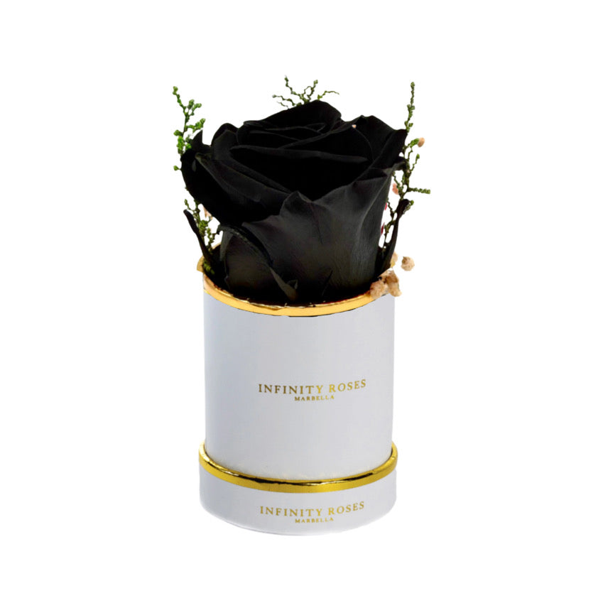 ROSA | MINI WHITE