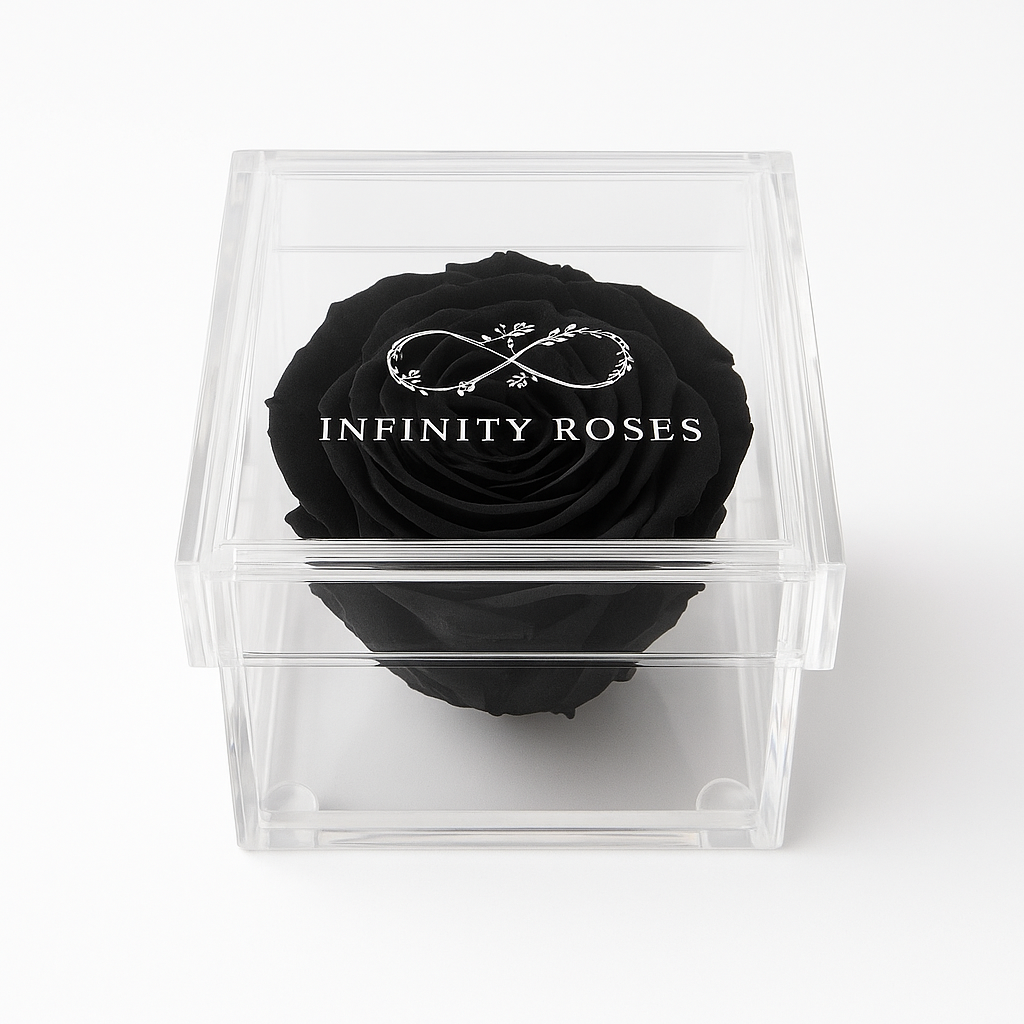 BOX | RED ROSE