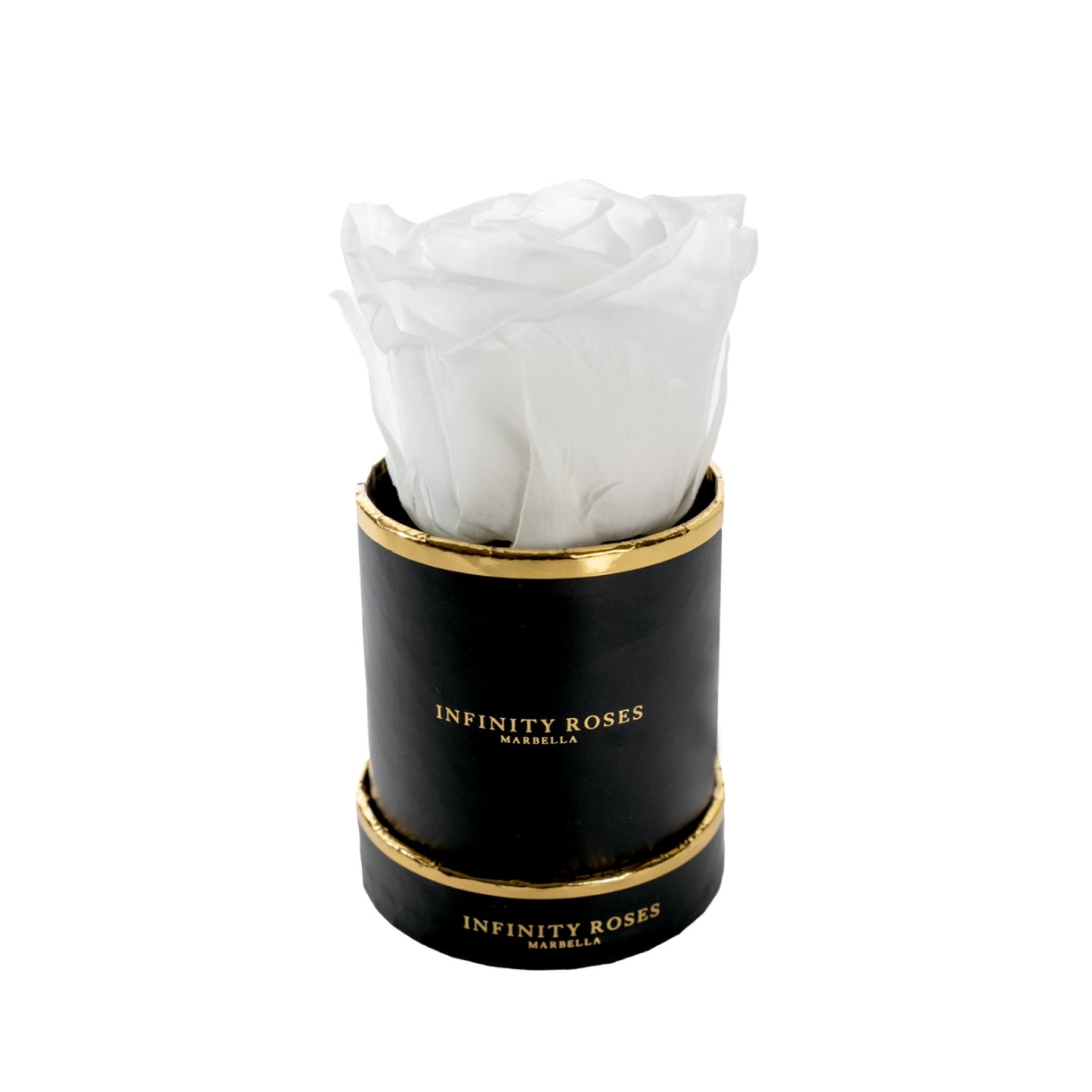 MINI VERMELLA