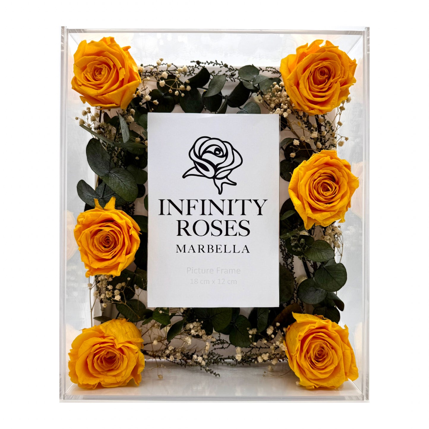 18 ROSAS | Photo Frame