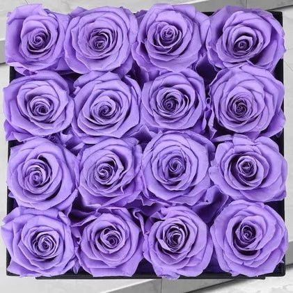 16 ROSES | DELUXE WHITE