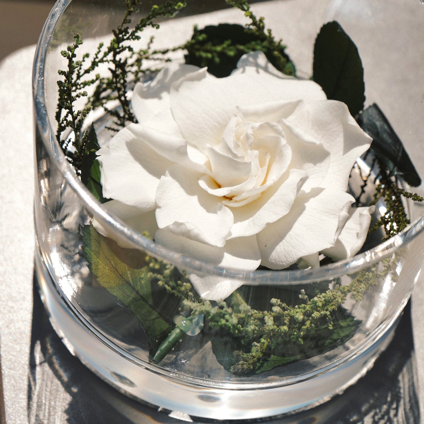 FLOR DE GARDENIA