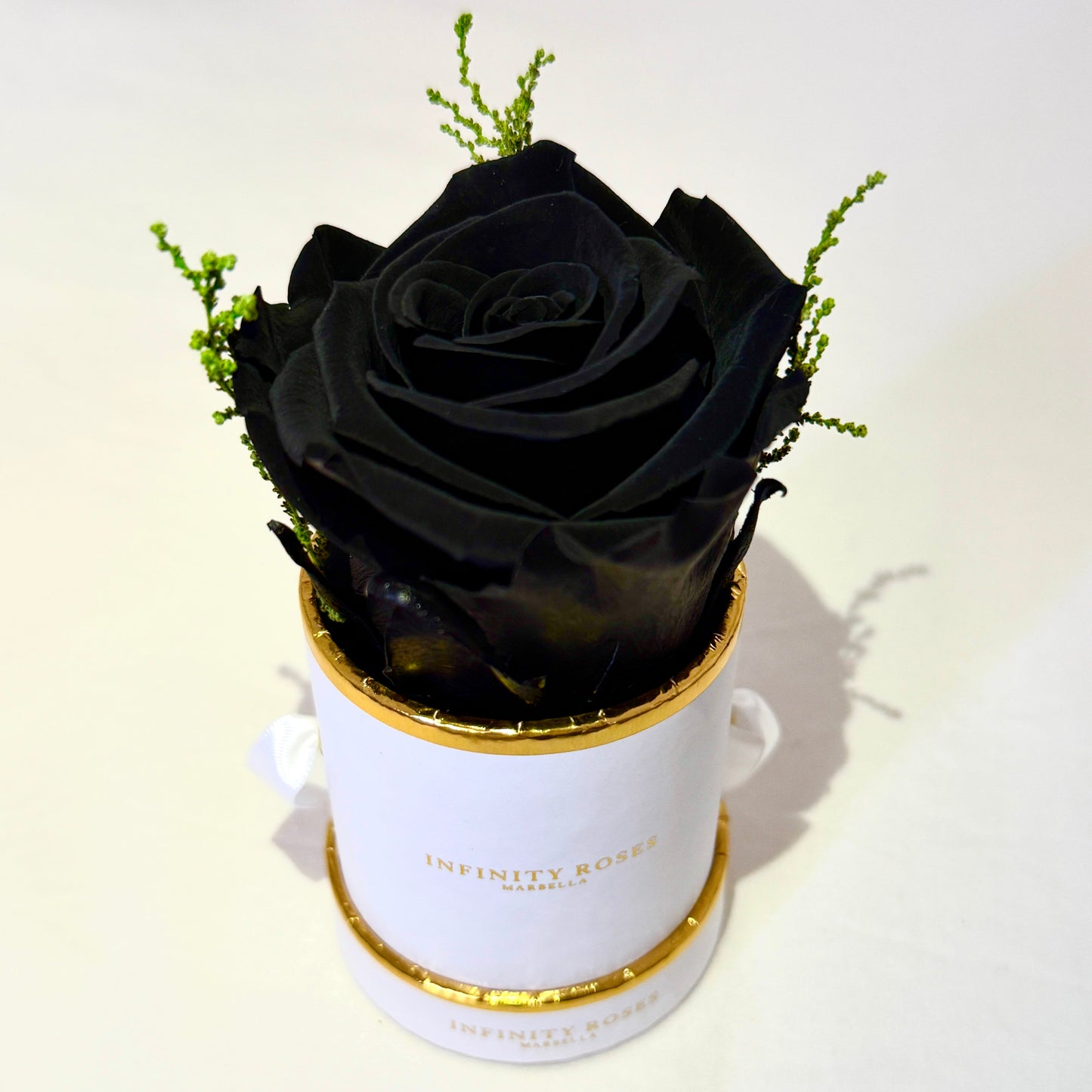 ROSA | MINI WHITE