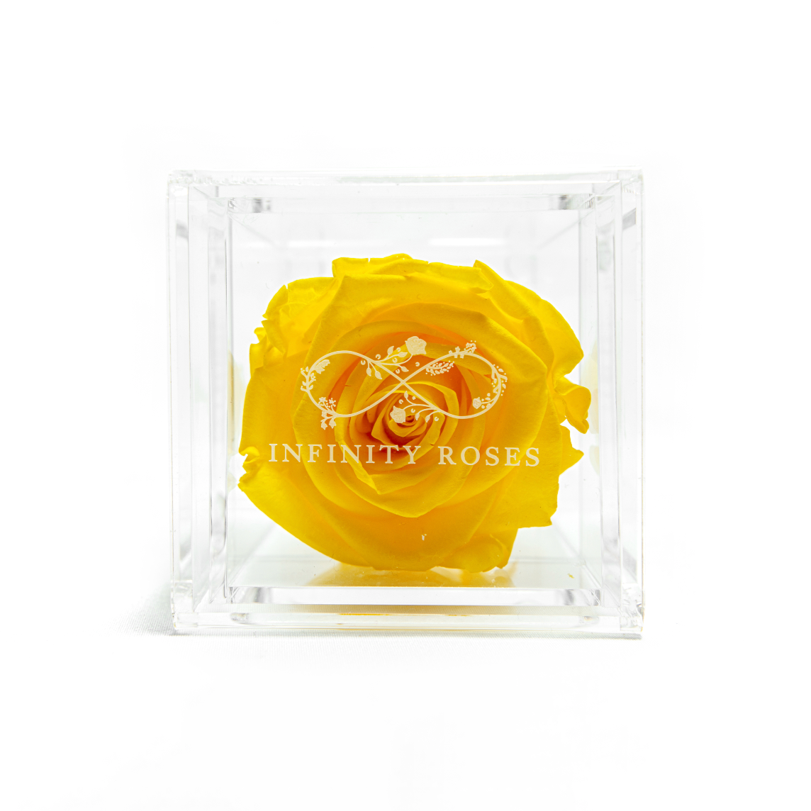 BOX | RED ROSE