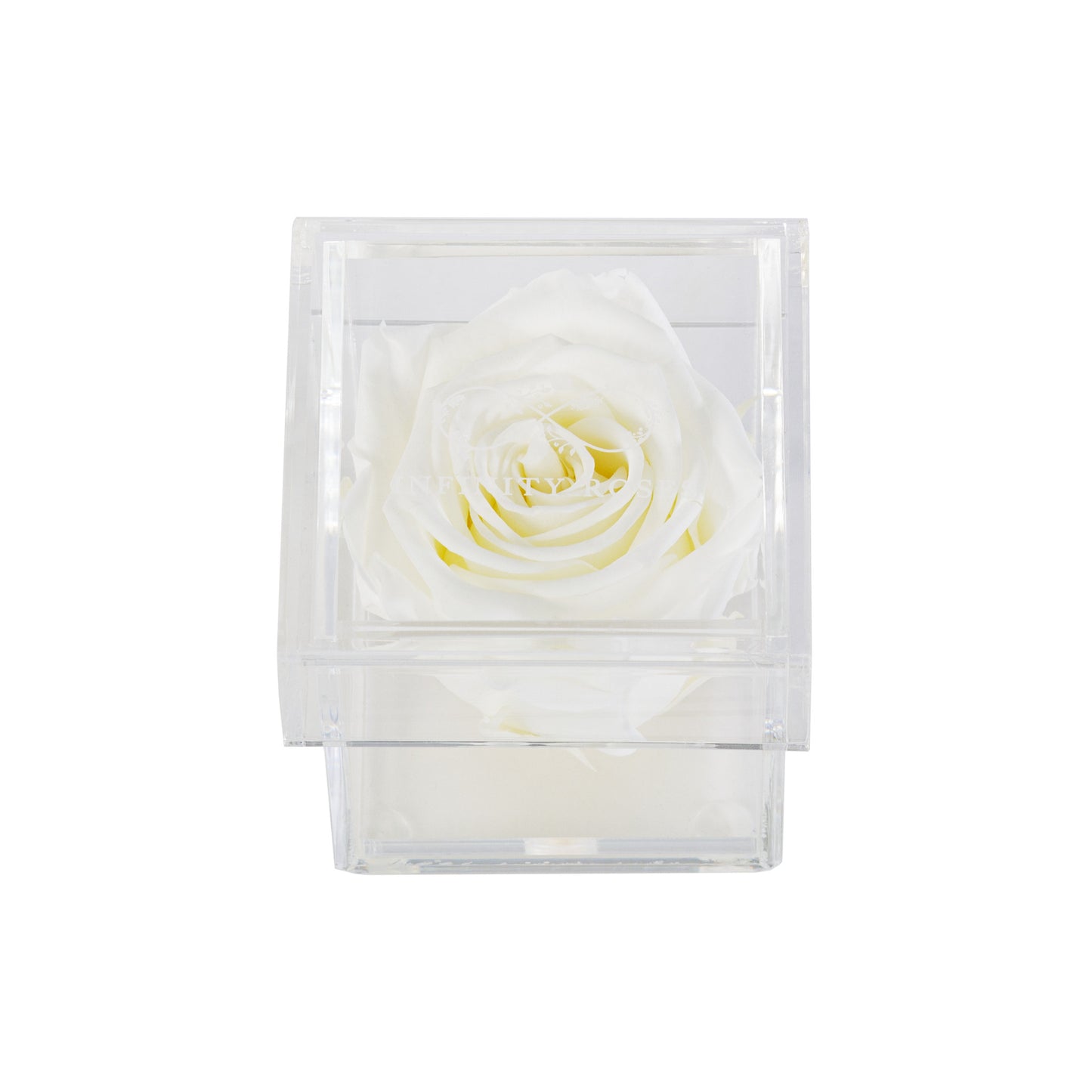 BOX | RED ROSE