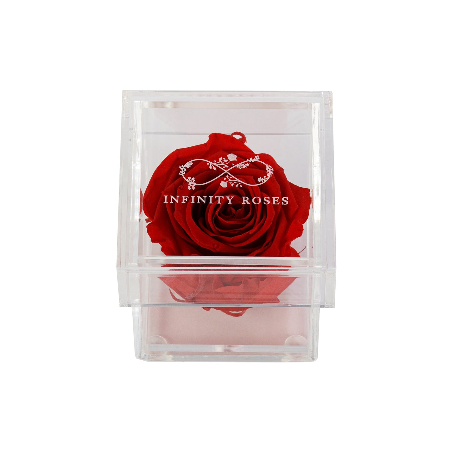 BOX | RED ROSE
