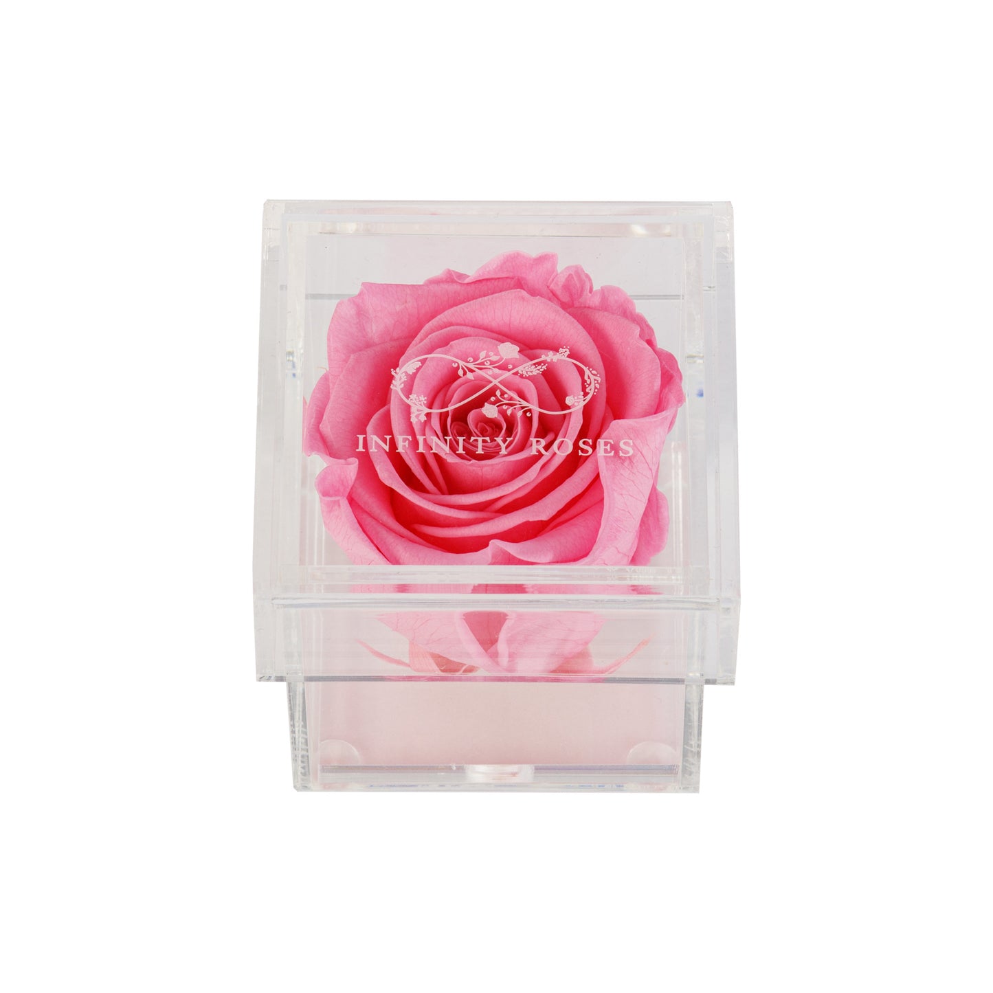 BOX | RED ROSE