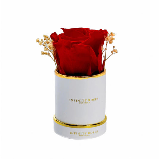 ROSA | MINI WHITE