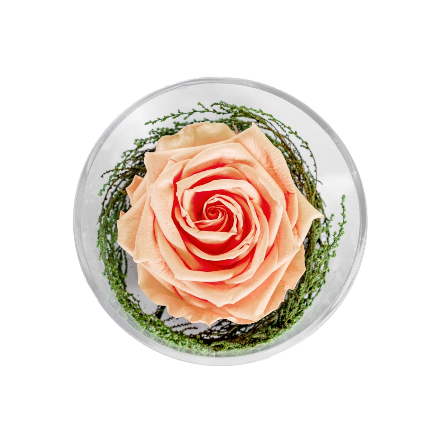 GRAND ROSE