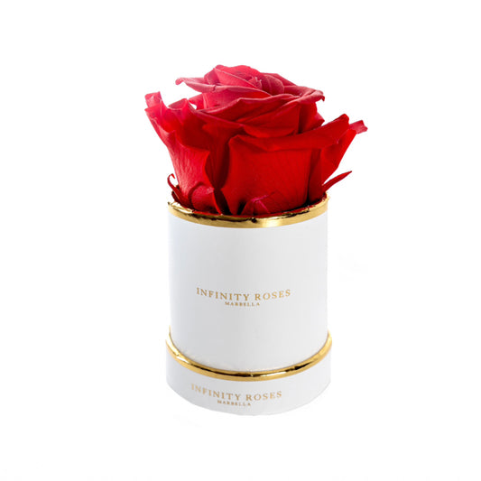 ROSE | MINI WHITE