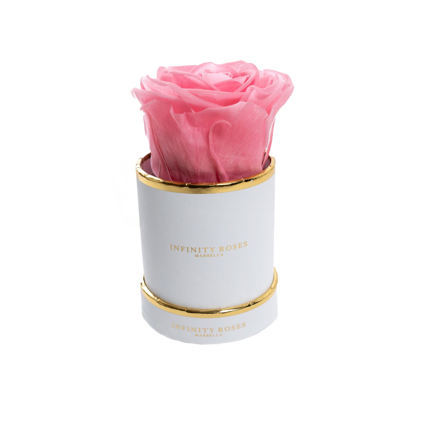 ROSA | MINI WHITE