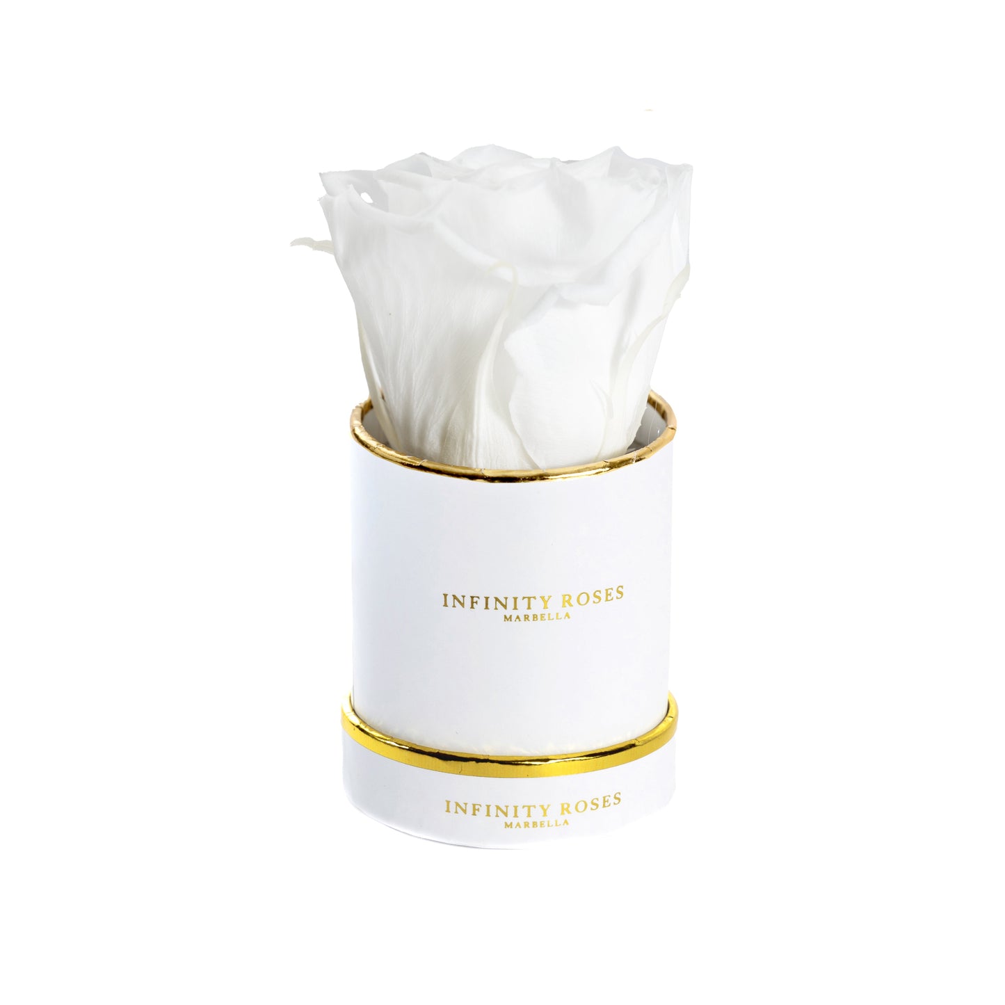 ROSA | MINI WHITE