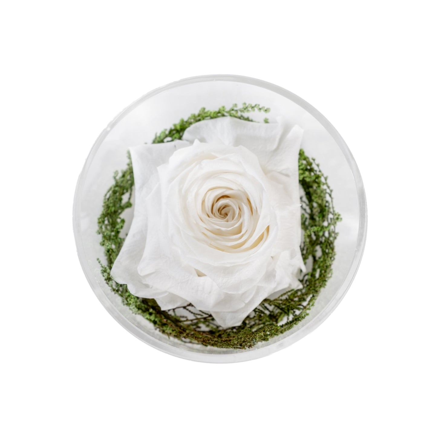 GRAND ROSE