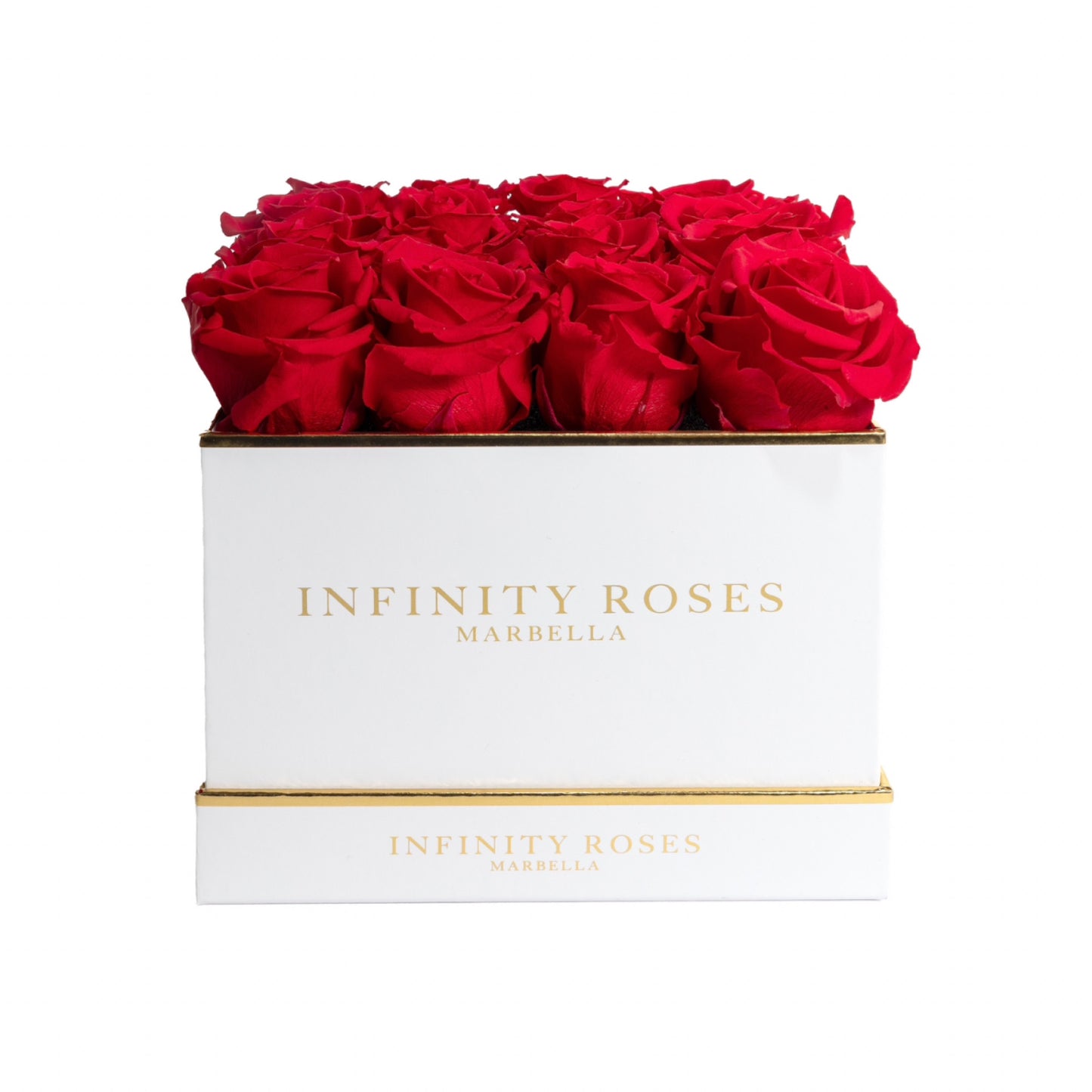 16 ROSAS | DELUXE WHITE