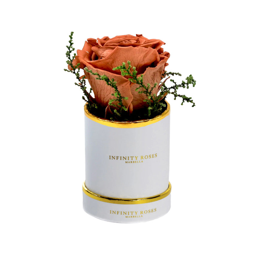 ROSA | MINI WHITE