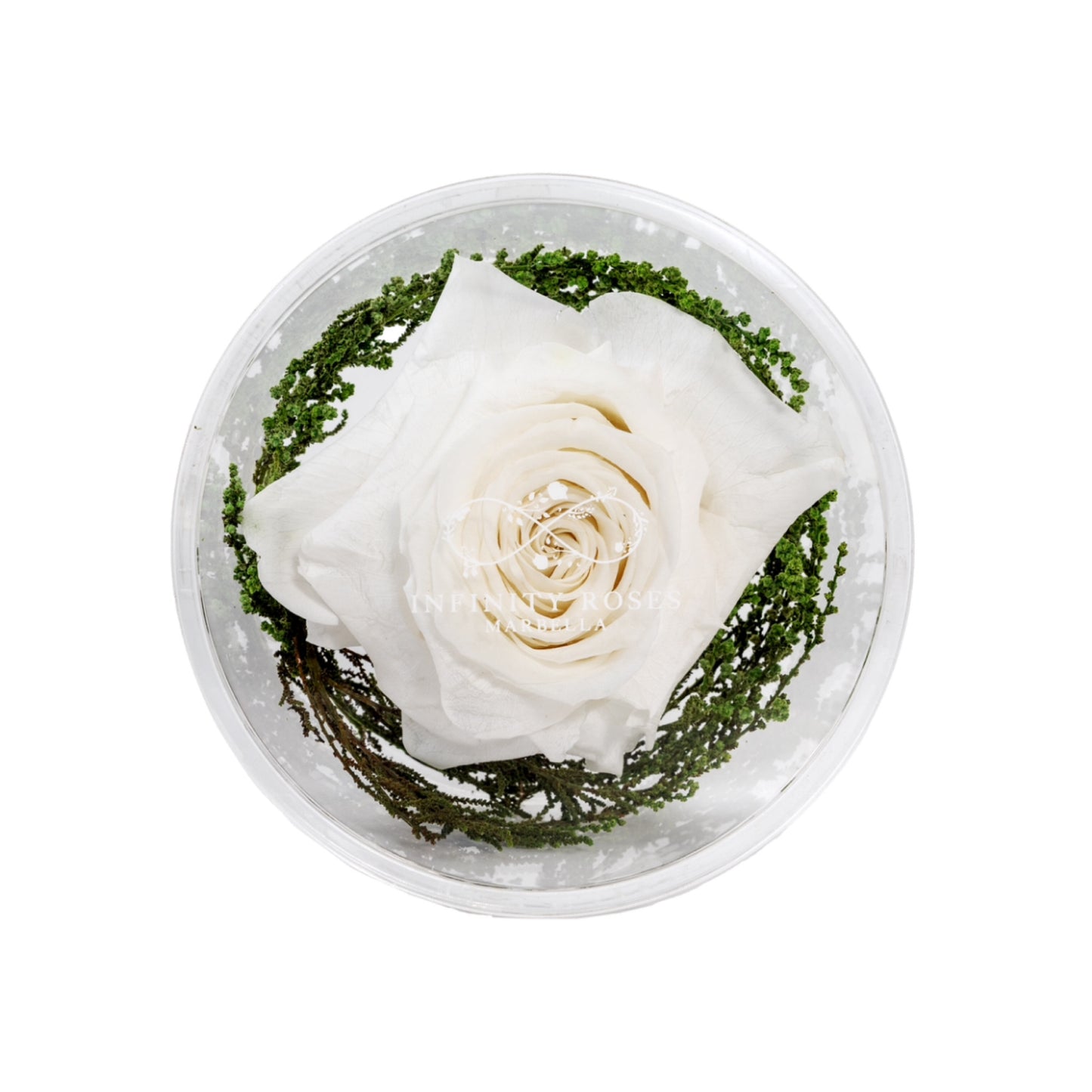 GRAND ROSE