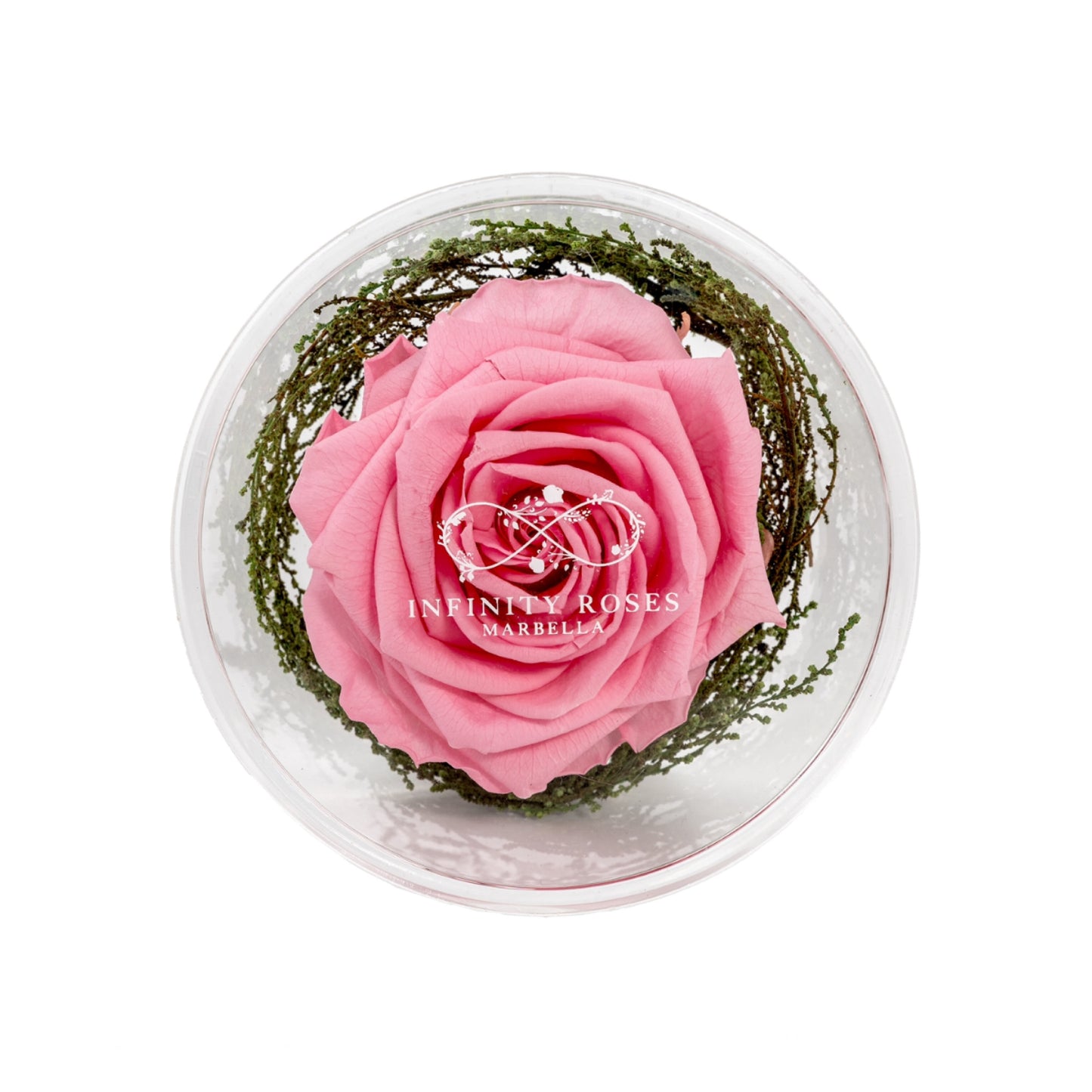 GRAND ROSE