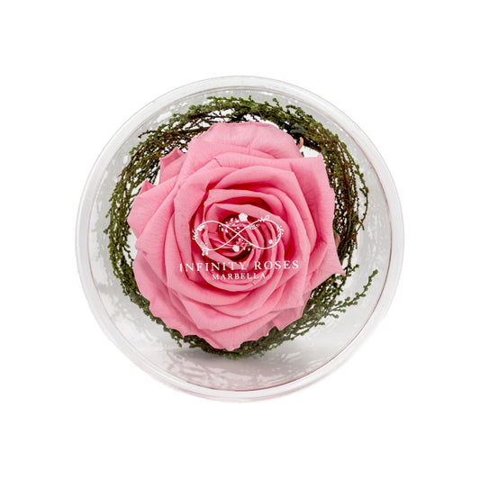 GRAND ROSE