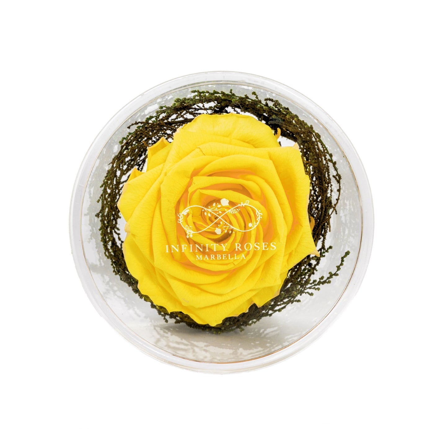 GRAND ROSE