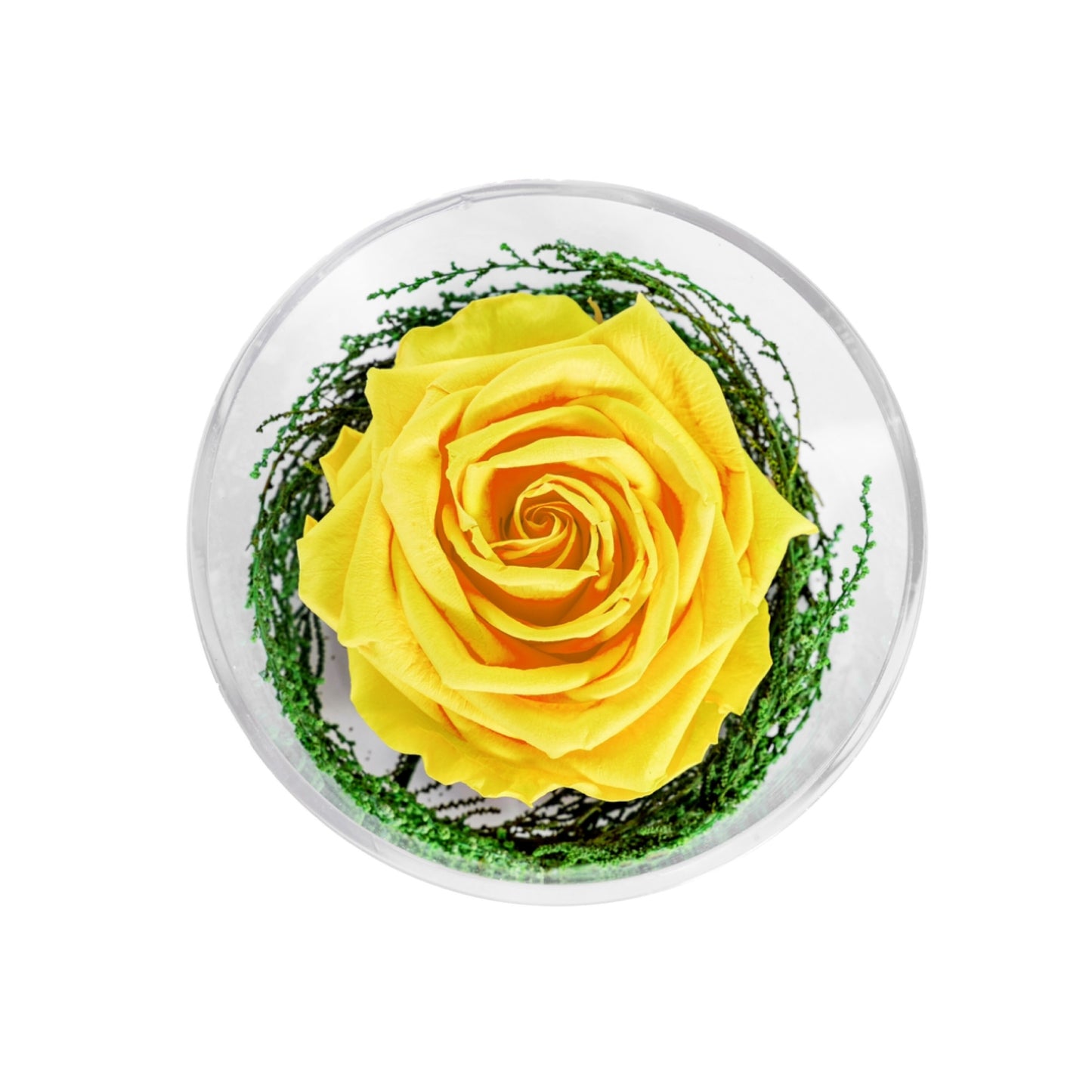 GRAND ROSE