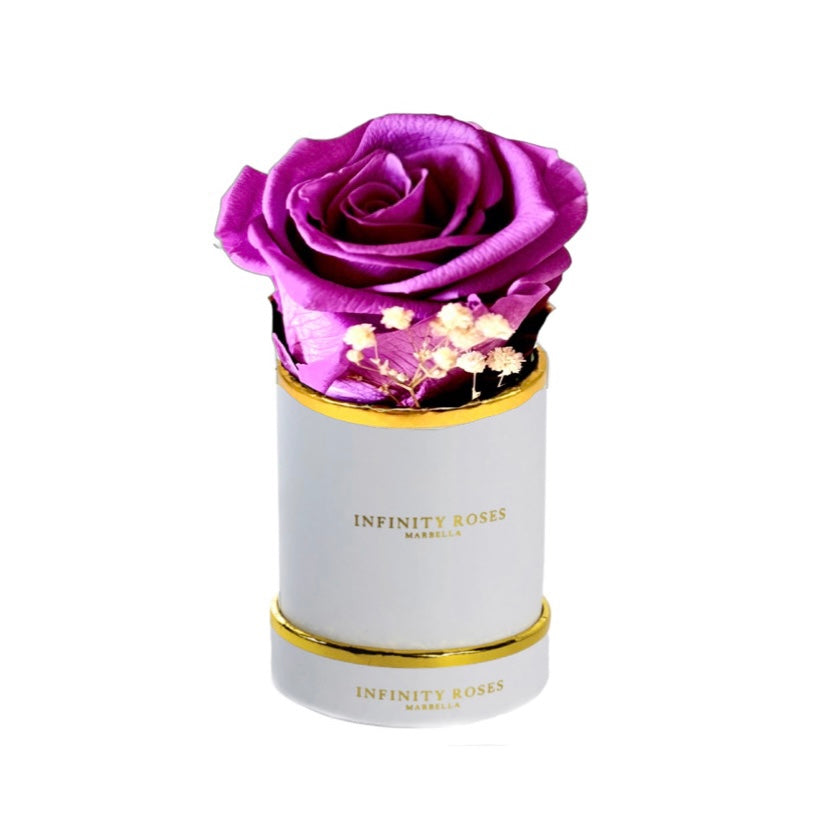 ROSA | MINI WHITE