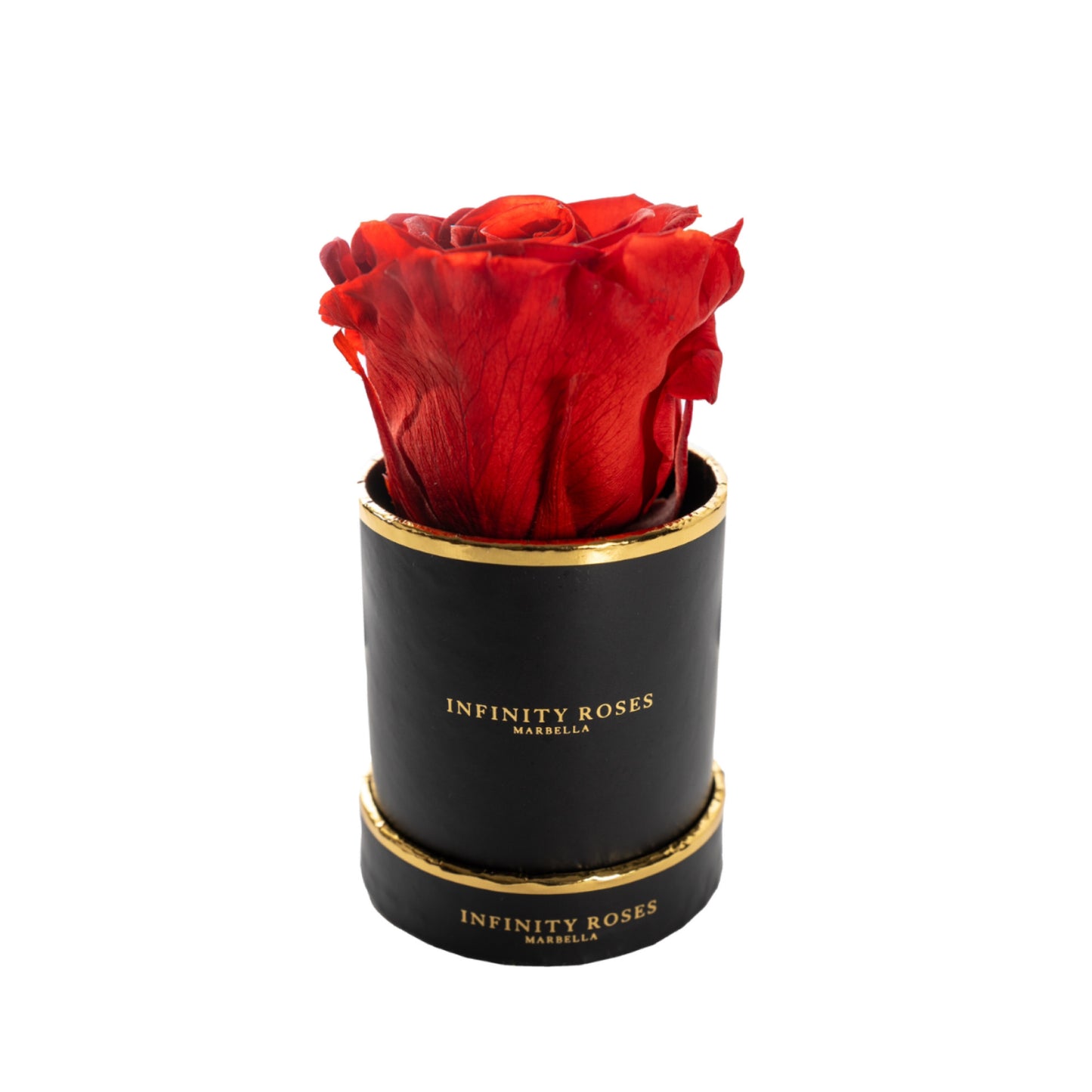 ROSA | MINI BLACK