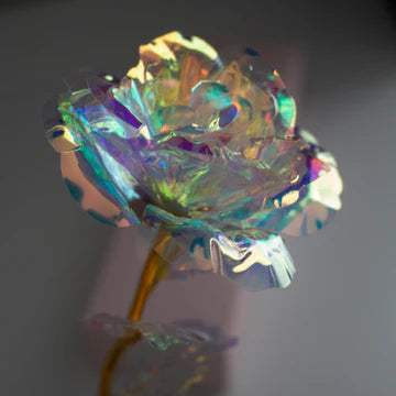 ROSA | MINI WHITE