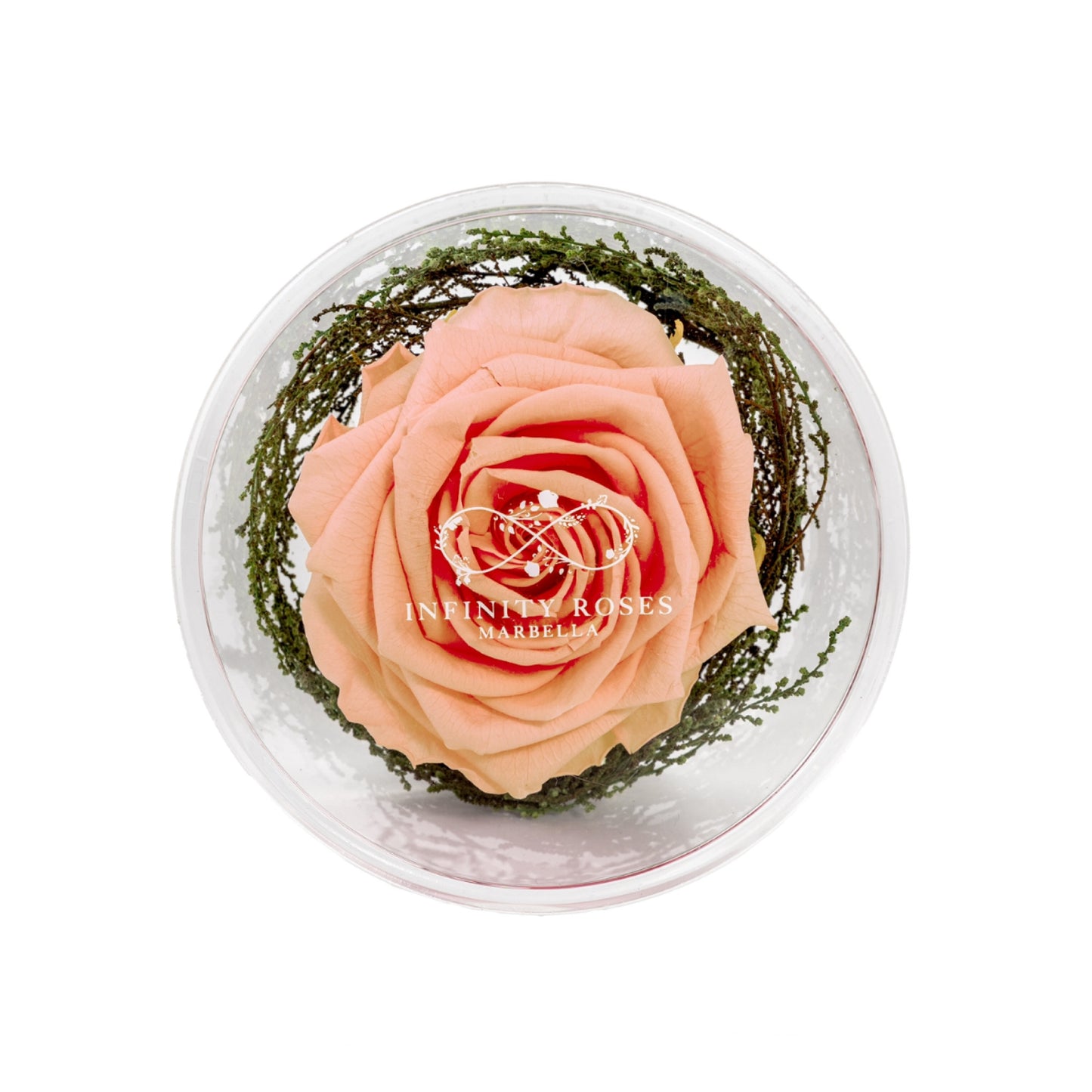 GRAND ROSE