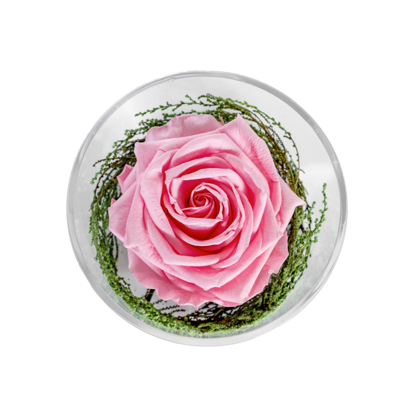 GRAND ROSE