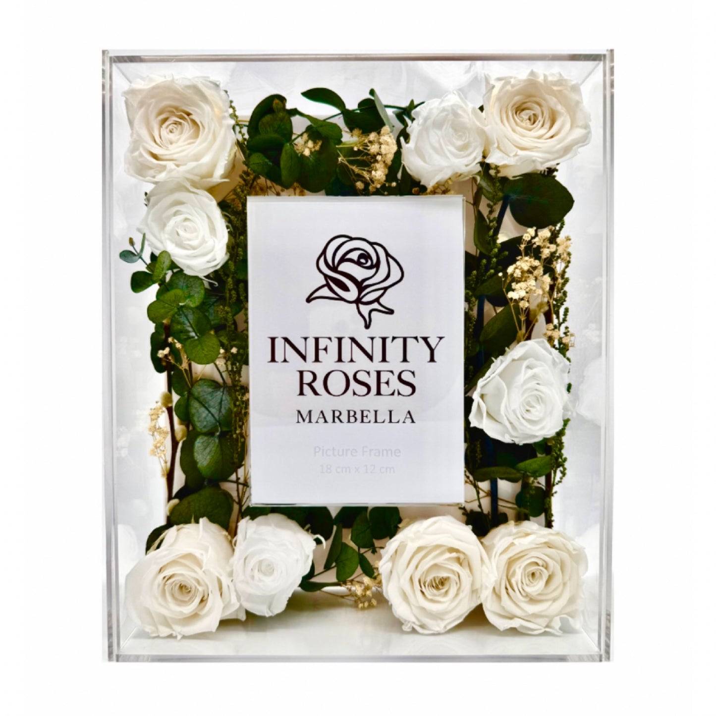 18 ROSAS | Photo Frame