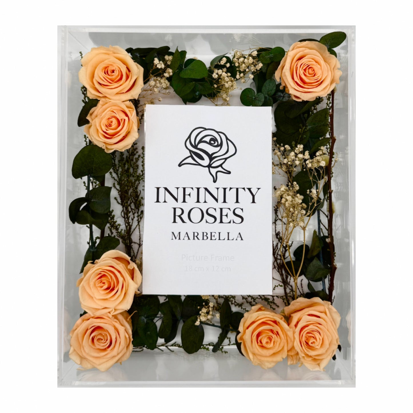 18 ROSAS | Photo Frame