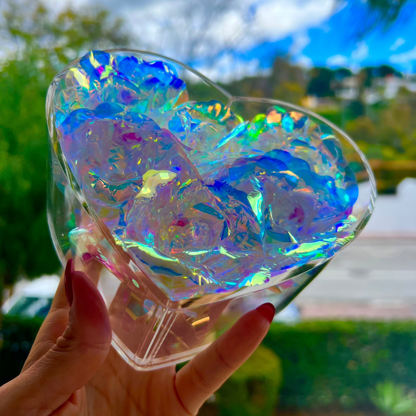 GALAXY ROSA HERZ