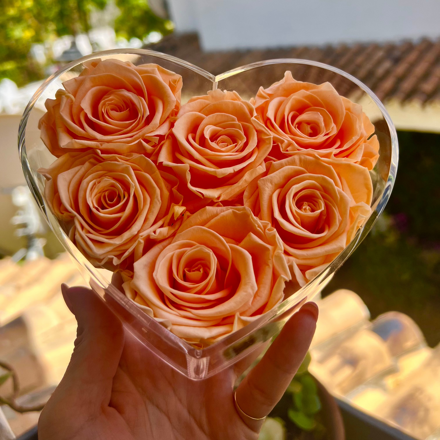 COEUR DE ROSE ROUGE