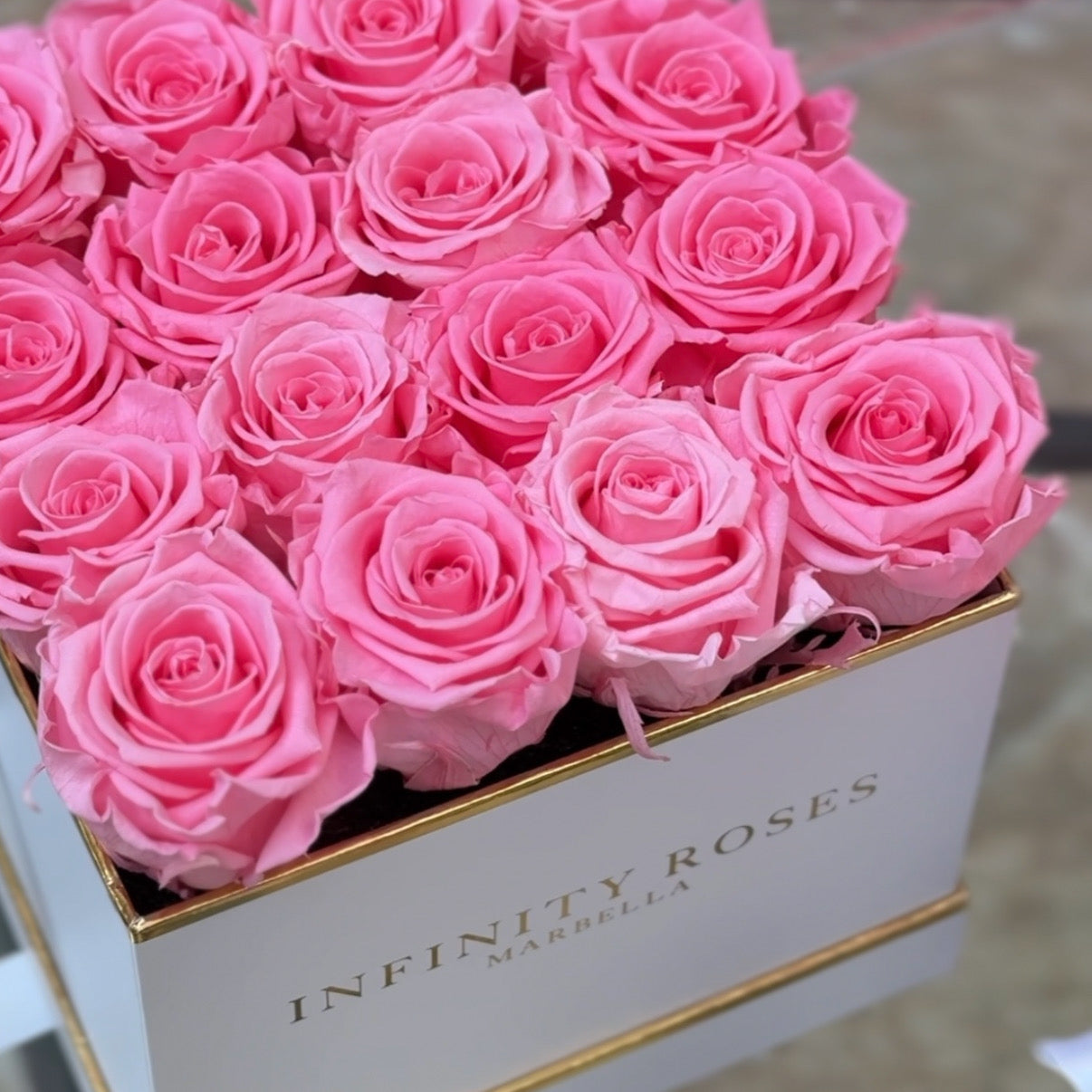 16 ROSAS | DELUXE WHITE