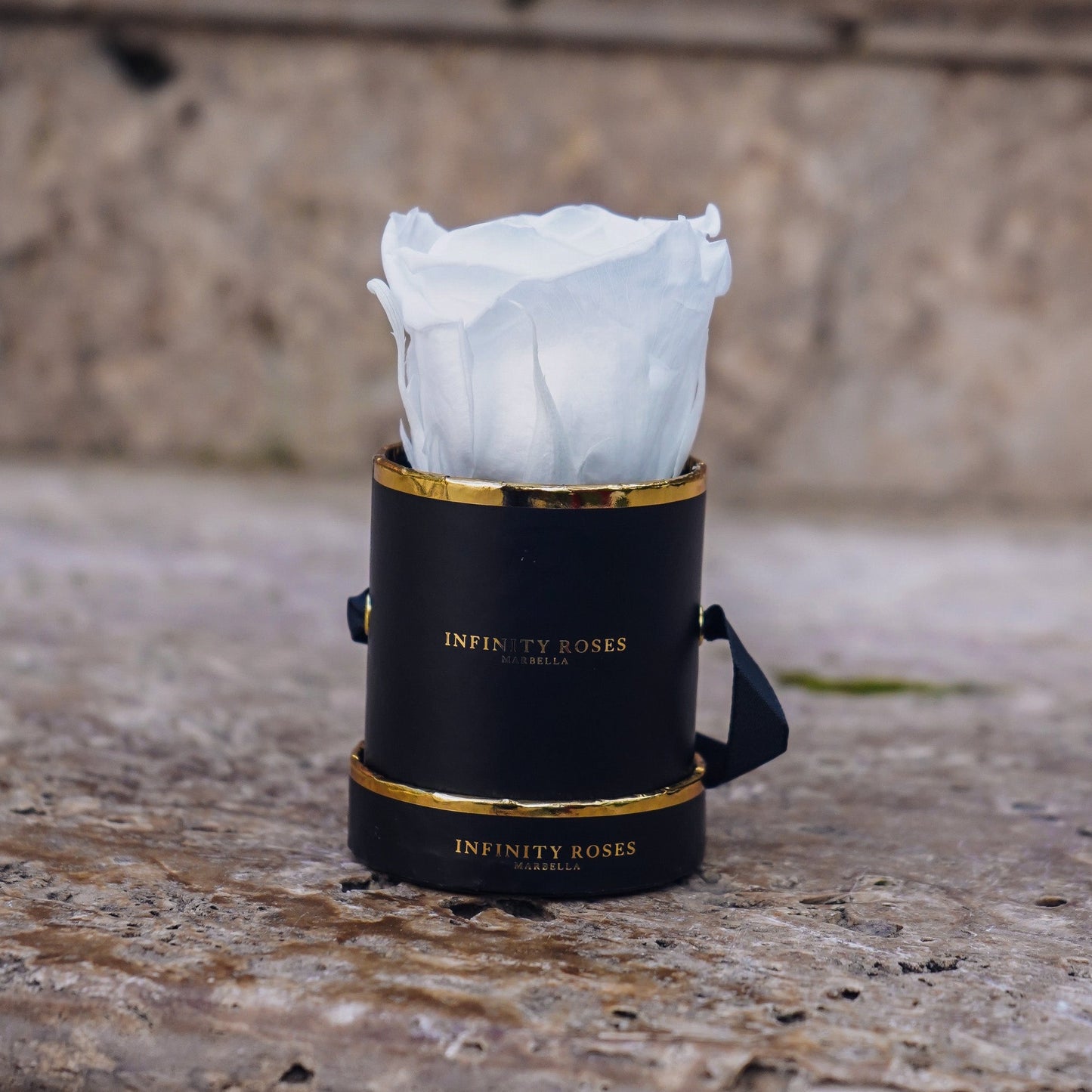 ROSA | MINI BLACK