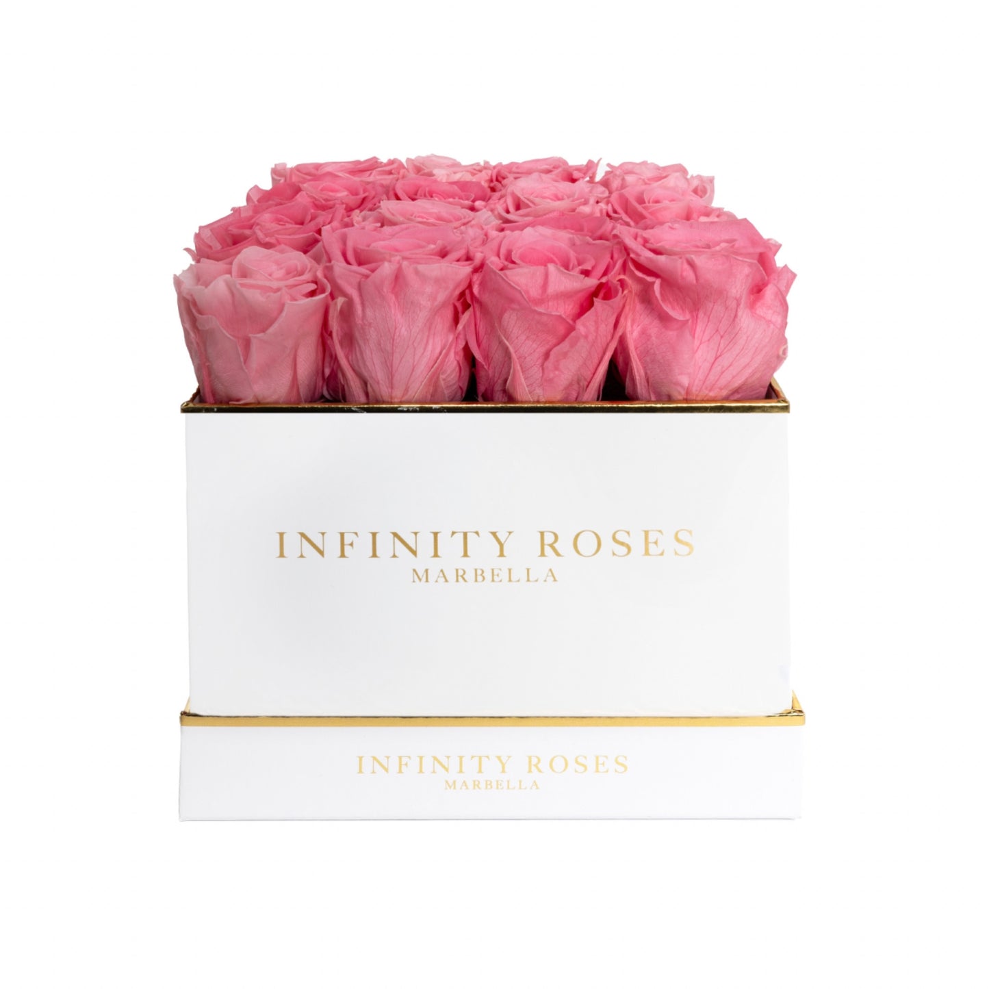 16 ROSAS | DELUXE WHITE