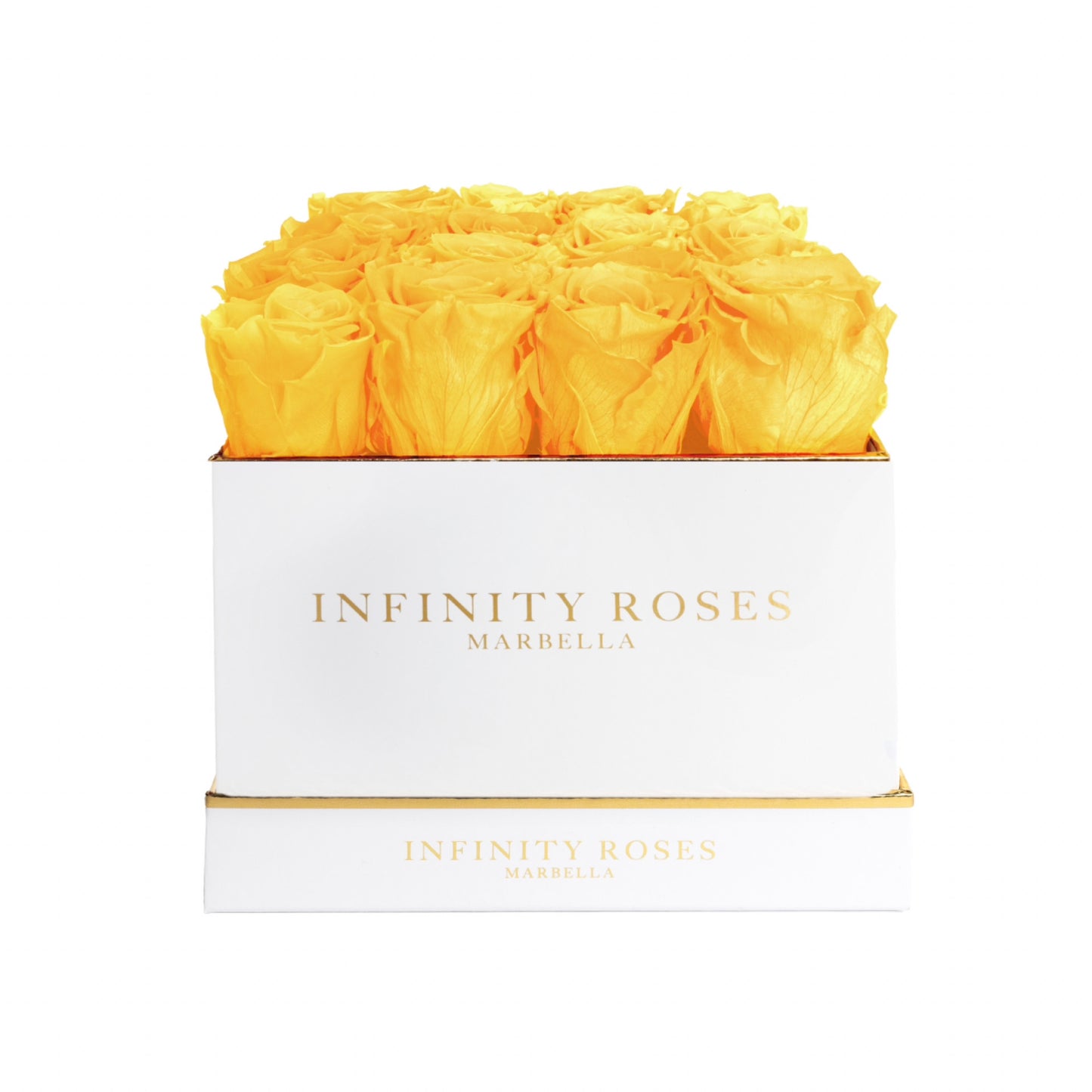 16 ROSAS | DELUXE WHITE