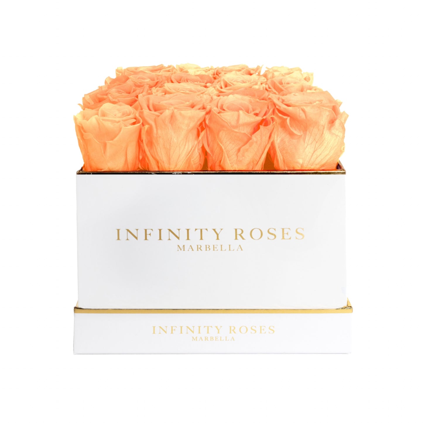 16 ROSAS | DELUXE WHITE