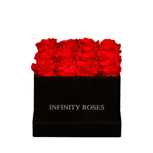 KLASSISCHE BOX | 16 ROTE ROSEN