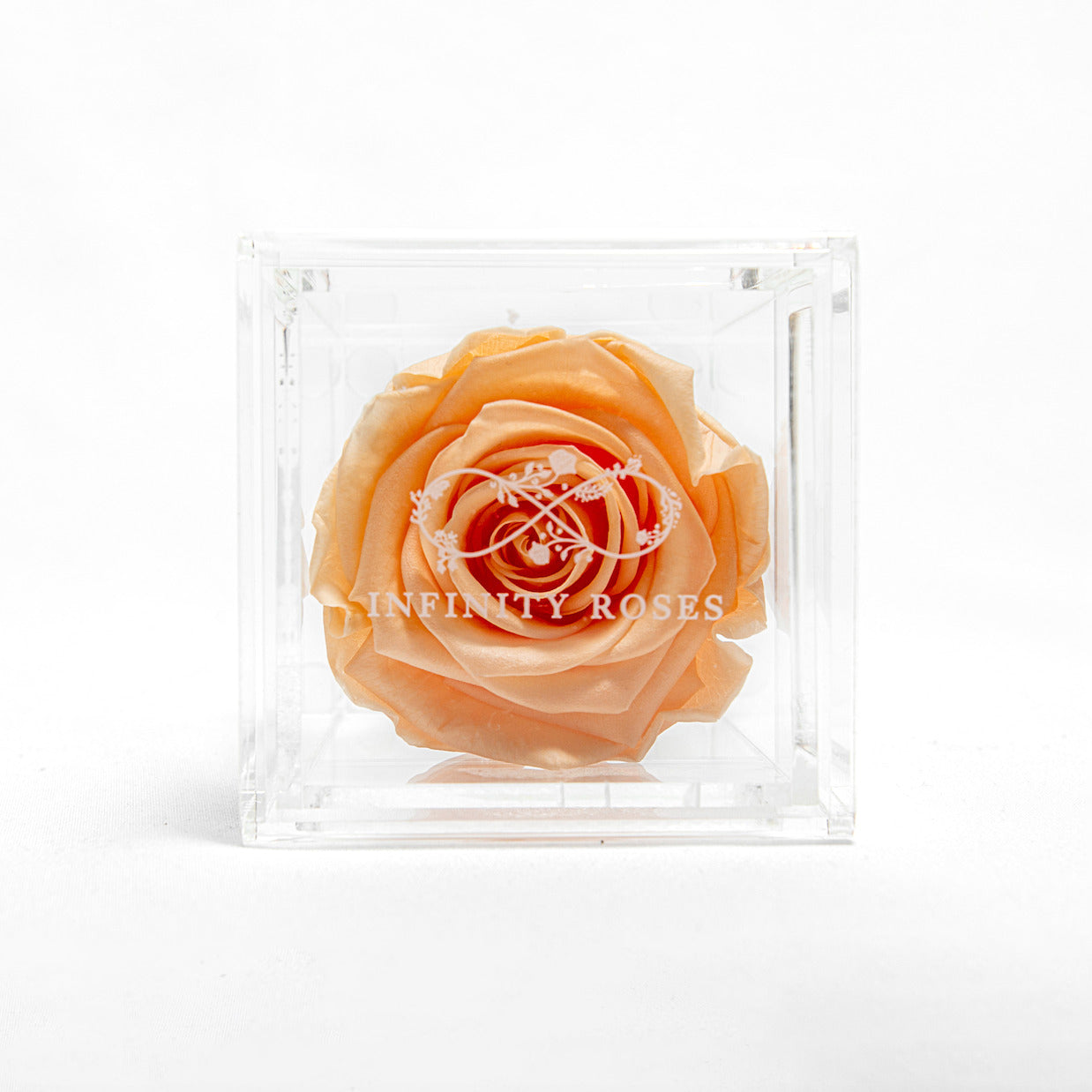 CAJITA | ROSA